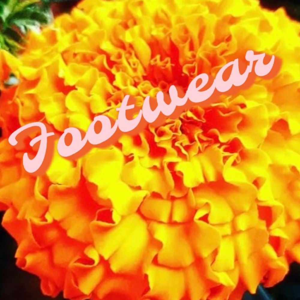 Footwear/Shoes